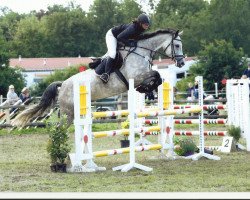 broodmare Yesca (Holsteiner, 2008, from Corrado II)
