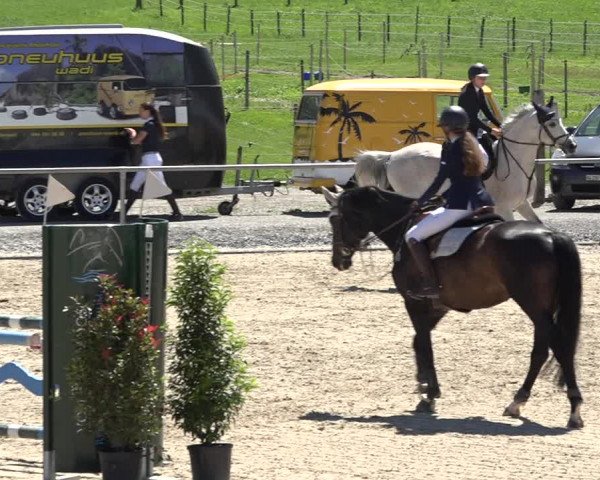 Reitturnier Galgenen 2020