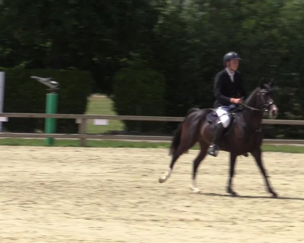 Reitturnier Münster-Handorf 2020