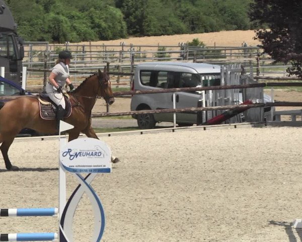 Reitturnier Worms-Pfeddersheim / Reitsportanlage Wittemer 2020