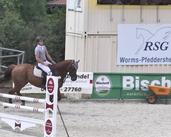 Reitturnier Worms-Pfeddersheim / Reitsportanlage Wittemer 2020