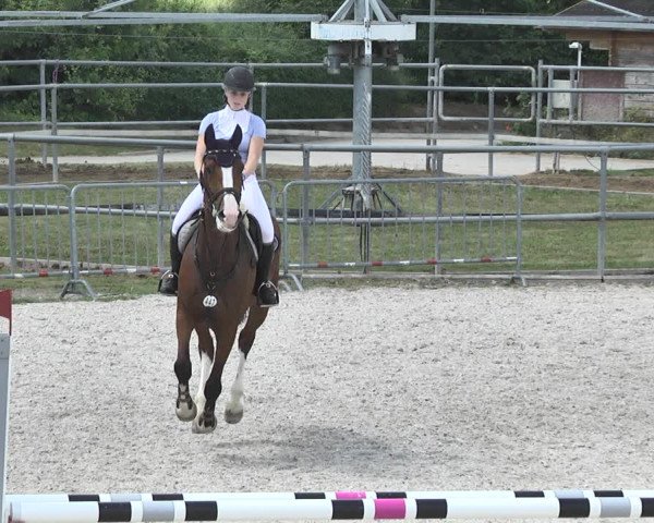 Reitturnier Worms-Pfeddersheim / Reitsportanlage Wittemer 2020
