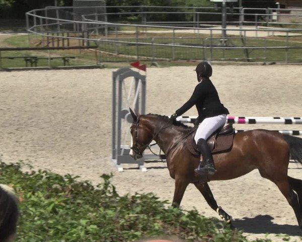 Reitturnier Worms-Pfeddersheim / Reitsportanlage Wittemer 2020