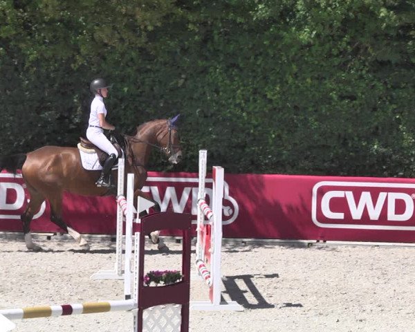 Reitturnier Worms-Pfeddersheim / Reitsportanlage Wittemer 2020