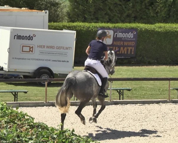 Reitturnier Worms-Pfeddersheim / Reitsportanlage Wittemer 2020