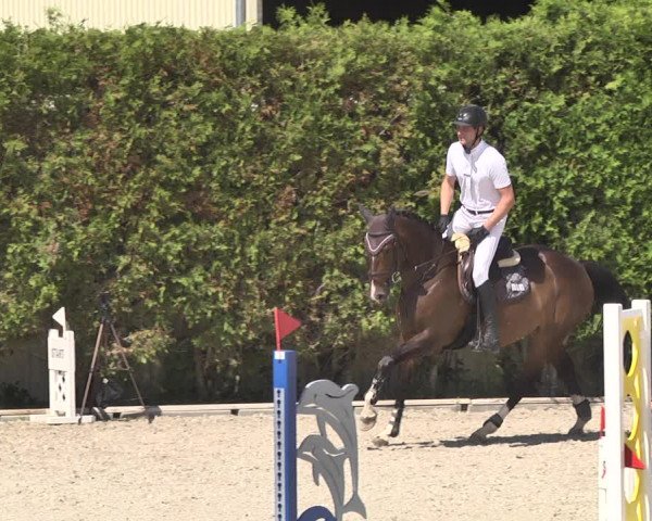 Reitturnier Worms-Pfeddersheim / Reitsportanlage Wittemer 2020