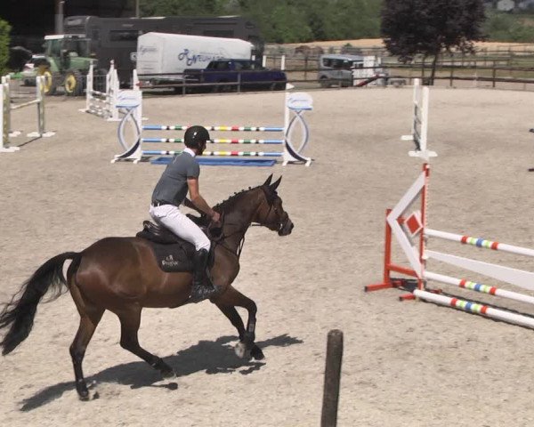 Reitturnier Worms-Pfeddersheim / Reitsportanlage Wittemer 2020