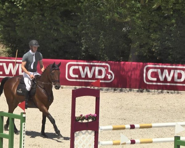 Reitturnier Worms-Pfeddersheim / Reitsportanlage Wittemer 2020