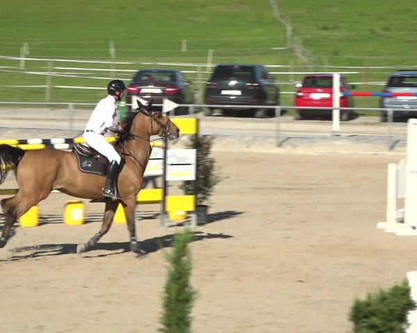 Reitturnier Galgenen 2020