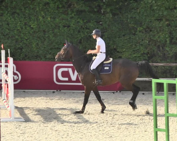 Reitturnier Worms-Pfeddersheim / Reitsportanlage Wittemer 2020