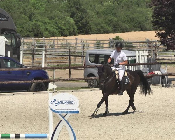 Reitturnier Worms-Pfeddersheim / Reitsportanlage Wittemer 2020