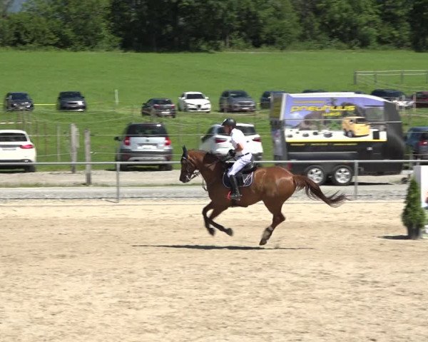 Reitturnier Galgenen 2020