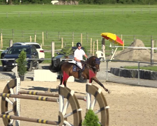 Reitturnier Galgenen 2020