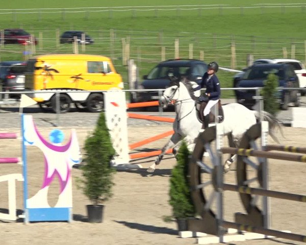 Reitturnier Galgenen 2020