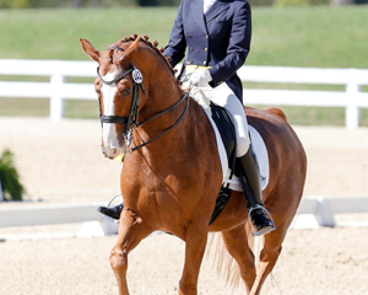 Dressage horse Weltdorff (Hanoverian, 2002, from Weltmeyer) - All-American Partnership: Emily Miles and WakeUp | Practical Horseman Magazine