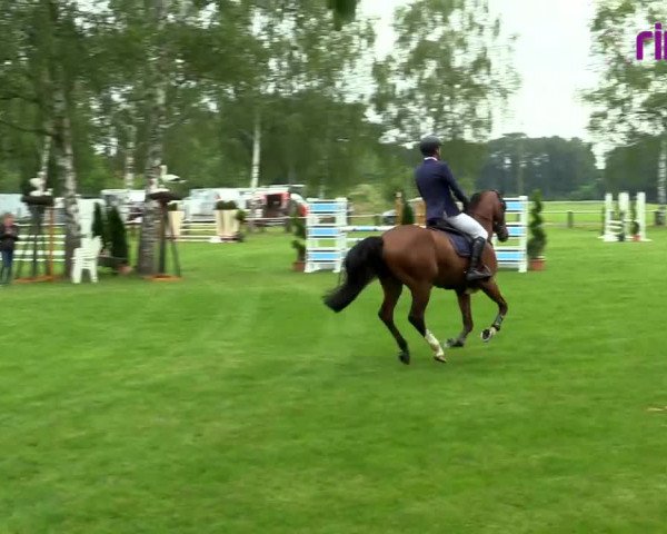 Reitturnier Hille 2020