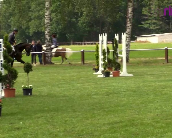 Reitturnier Hille 2020