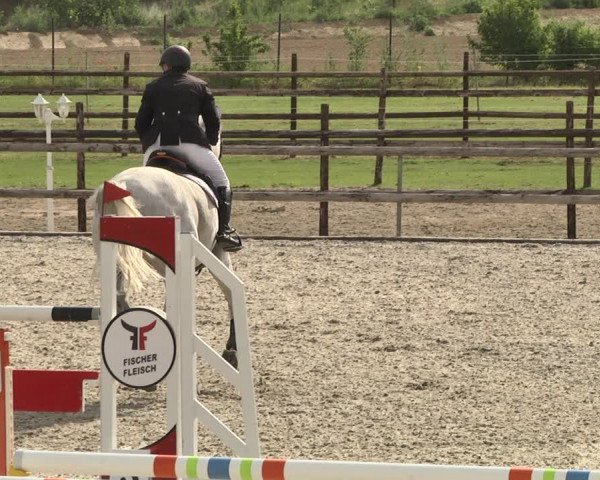 Reitturnier Worms-Pfeddersheim / Reitsportanlage Wittemer 2020