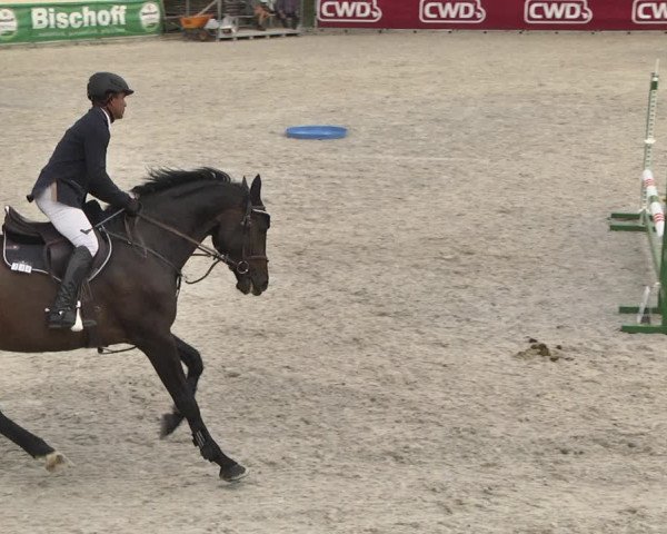 Reitturnier Worms-Pfeddersheim / Reitsportanlage Wittemer 2020