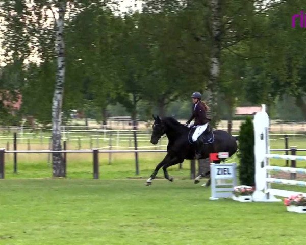 Reitturnier Hille 2020