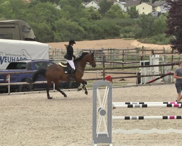 Reitturnier Worms-Pfeddersheim / Reitsportanlage Wittemer 2020