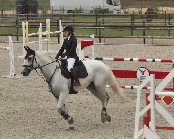 Reitturnier Worms-Pfeddersheim / Reitsportanlage Wittemer 2020