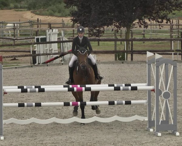 Reitturnier Worms-Pfeddersheim / Reitsportanlage Wittemer 2020