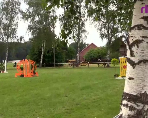 Reitturnier Hille 2020