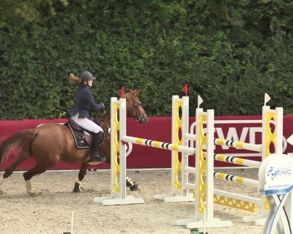 Reitturnier Worms-Pfeddersheim / Reitsportanlage Wittemer 2020