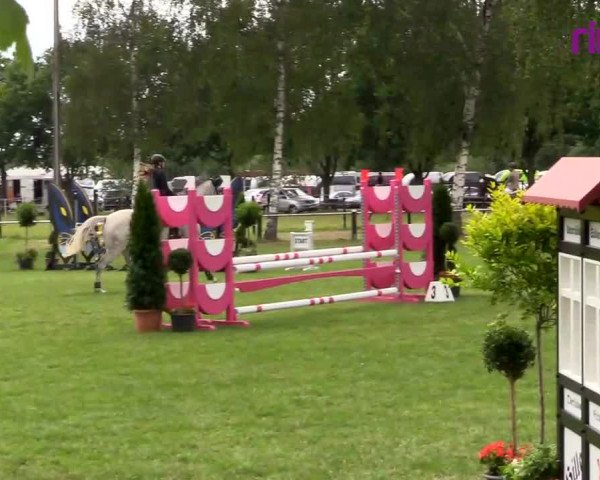 Reitturnier Hille 2020