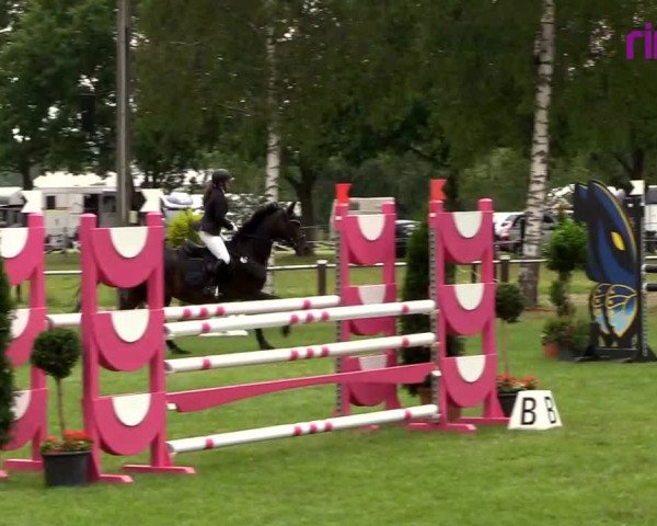 Reitturnier Hille 2020