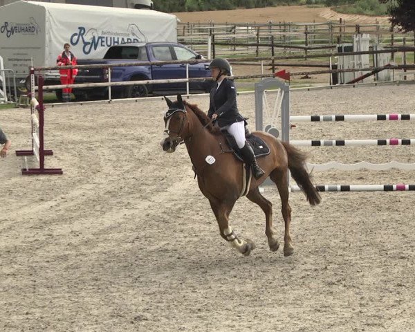 Reitturnier Worms-Pfeddersheim / Reitsportanlage Wittemer 2020