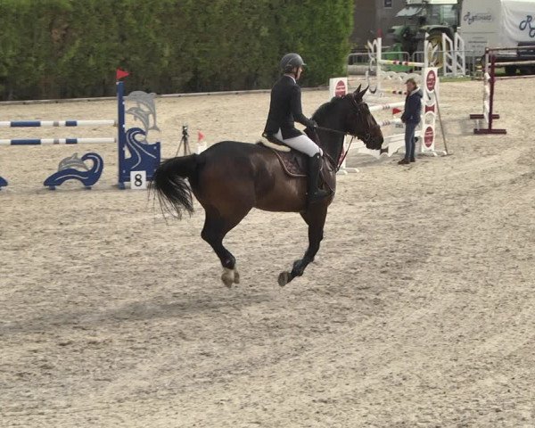 Reitturnier Worms-Pfeddersheim / Reitsportanlage Wittemer 2020