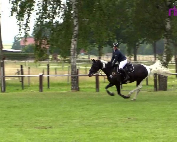 Reitturnier Hille 2020