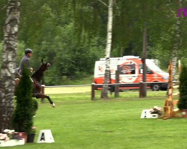 Reitturnier Hille 2020