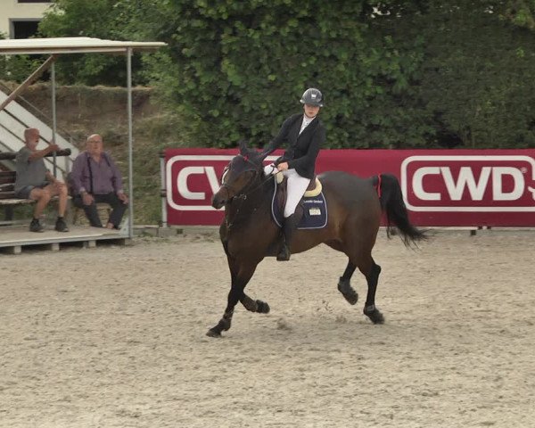 Reitturnier Worms-Pfeddersheim / Reitsportanlage Wittemer 2020