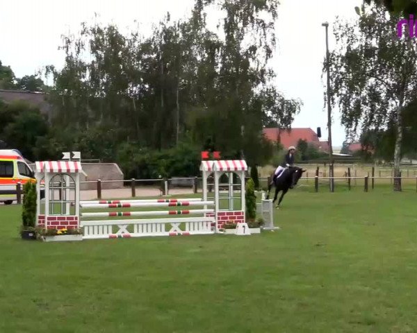 Reitturnier Hille 2020