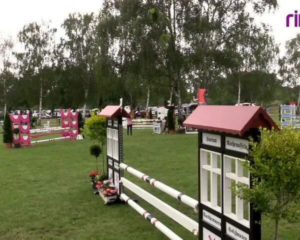 Reitturnier Hille 2020