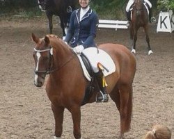 dressage horse Pikolina K (Westphalian, 2009, from Pik Labionics)