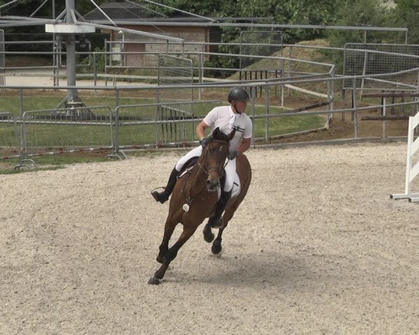 Reitturnier Worms-Pfeddersheim / Reitsportanlage Wittemer 2020