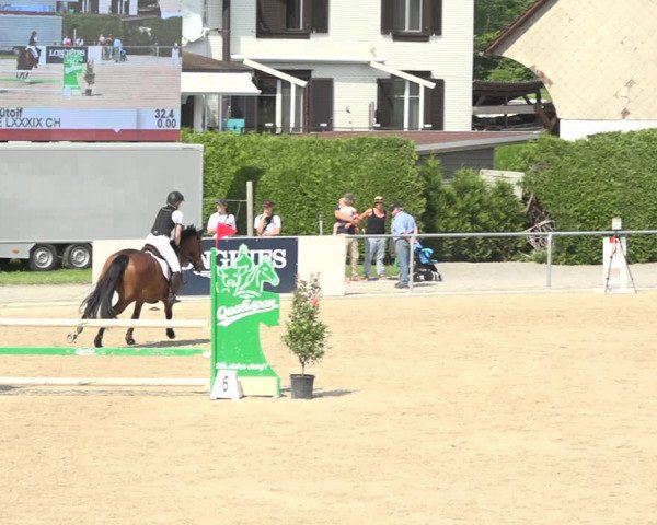 Reitturnier Galgenen 2020