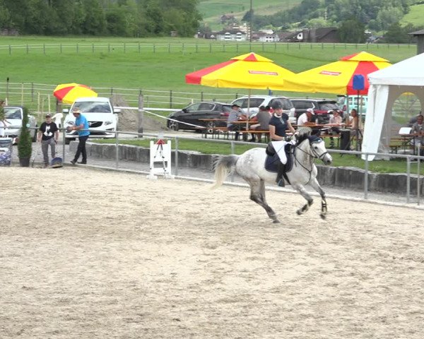 Reitturnier Galgenen 2020