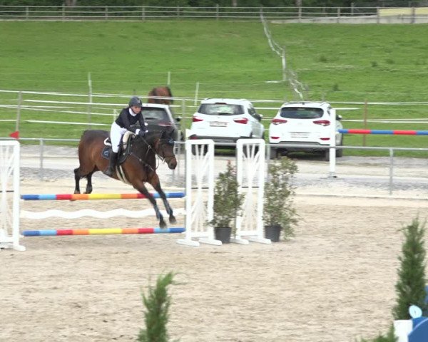 Reitturnier Galgenen 2020