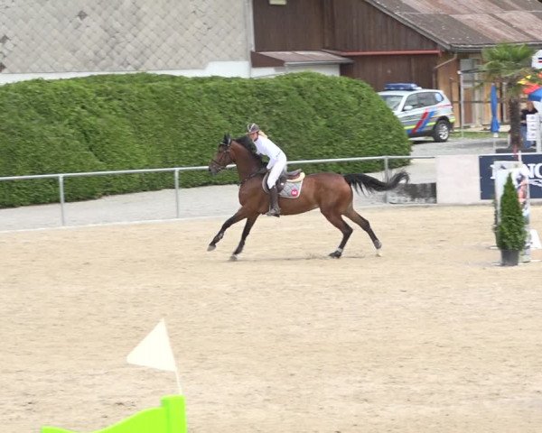 Reitturnier Galgenen 2020