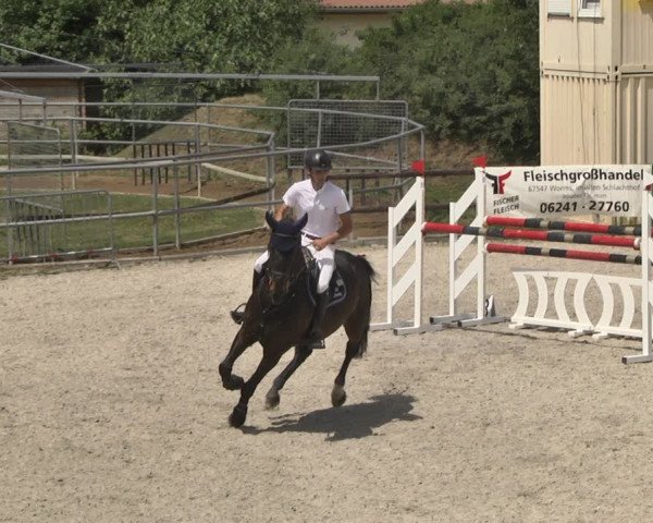 Reitturnier Worms-Pfeddersheim / Reitsportanlage Wittemer 2020