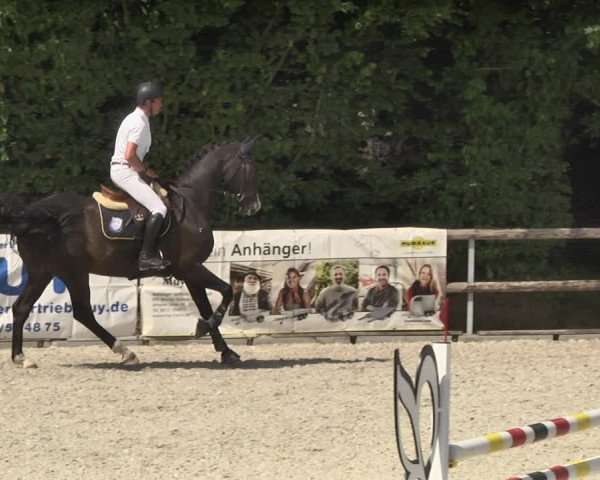 Reitturnier Worms-Pfeddersheim / Reitsportanlage Wittemer 2020