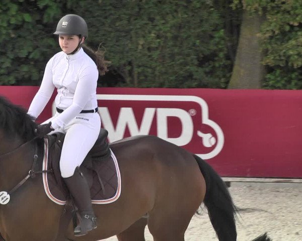 Reitturnier Worms-Pfeddersheim / Reitsportanlage Wittemer 2020