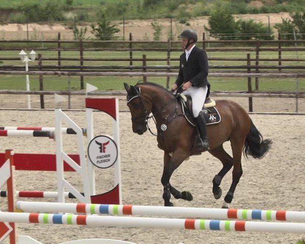 Reitturnier Worms-Pfeddersheim / Reitsportanlage Wittemer 2020