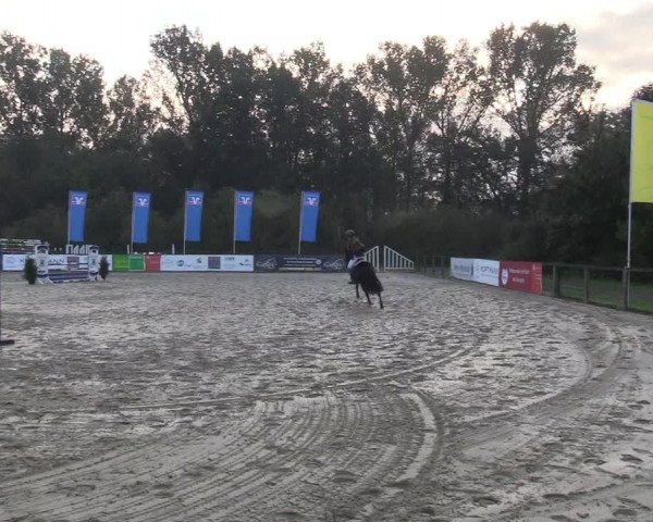 Reitturnier Everswinkel 2021