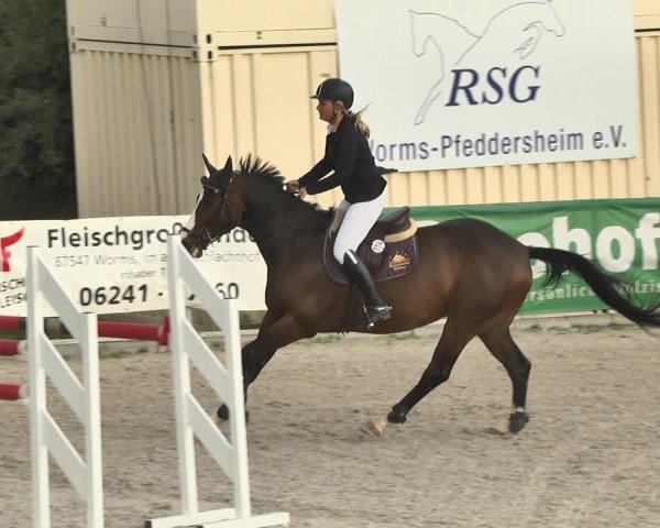 Reitturnier Worms-Pfeddersheim / Reitsportanlage Wittemer 2020